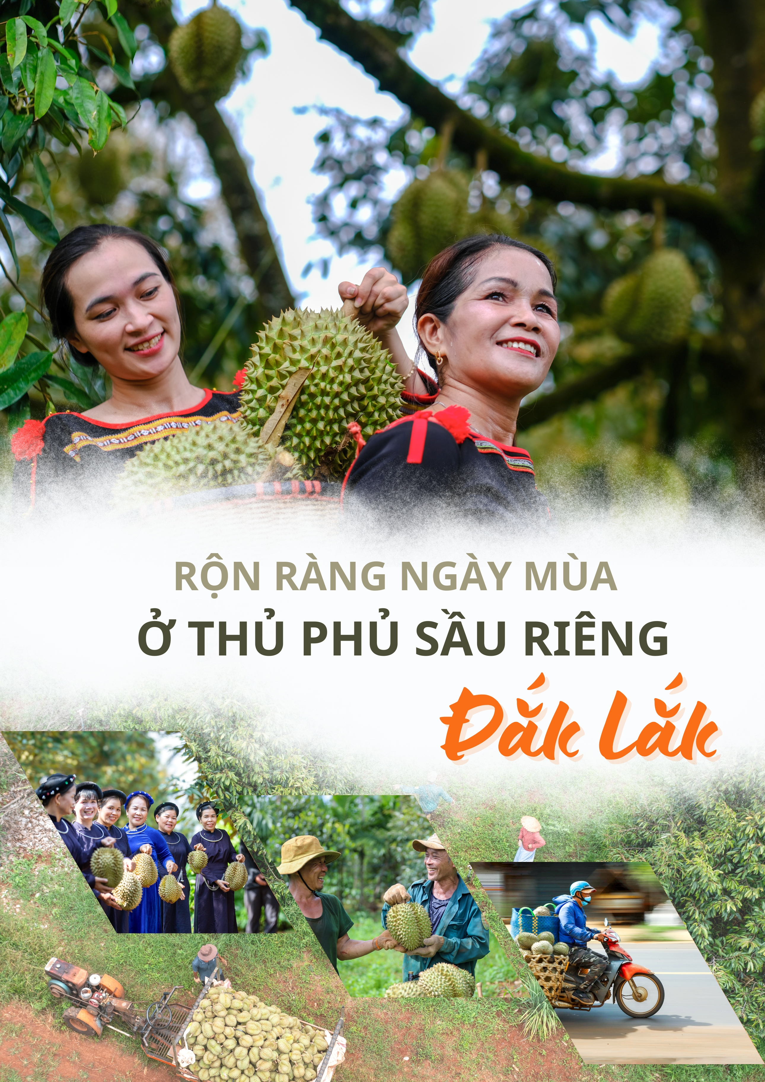 sau-rieng-anh-phan-t