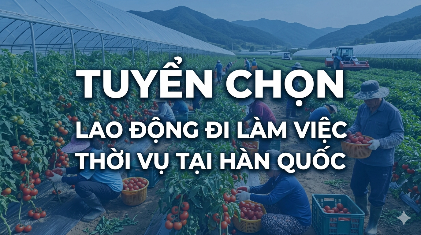 hanquoc
